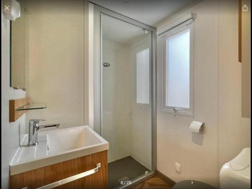 a bathroom with a sink and a shower at Bien dans le sud in Fréjus