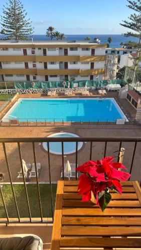 Seaview Apartment Los Cactus