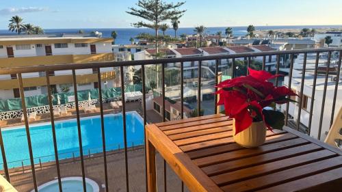 Seaview Apartment Los Cactus