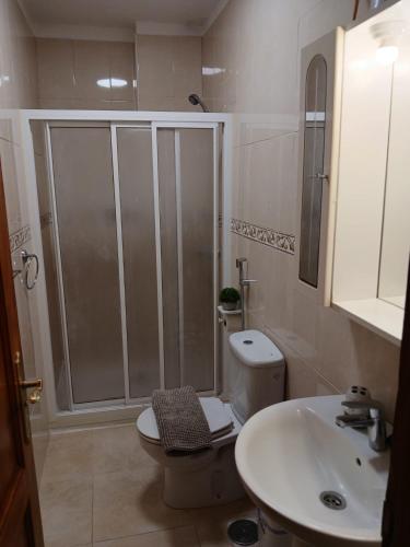 a bathroom with a shower and a toilet and a sink at ATICO ACOGEDOR LA LAGUNa in Las Lagunas