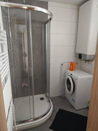 a bathroom with a shower and a washing machine at Apartmán Velký Luh in Velký Luh