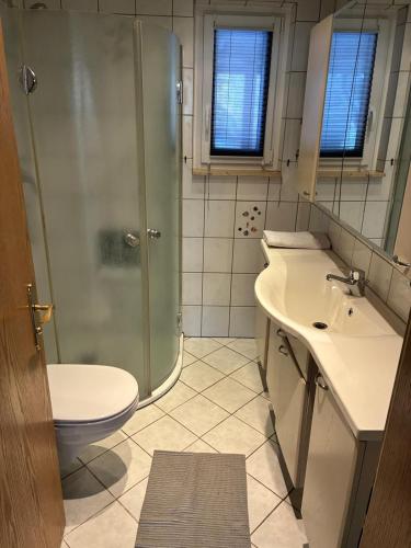 a bathroom with a shower and a toilet and a sink at Freundliche Monteurwohnung in Bad Oldesloe