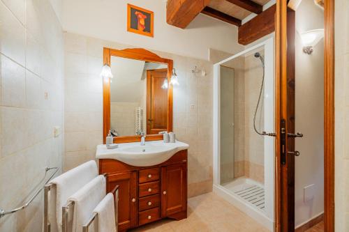 a bathroom with a sink and a mirror and a shower at Casa Vecciano in Cetona