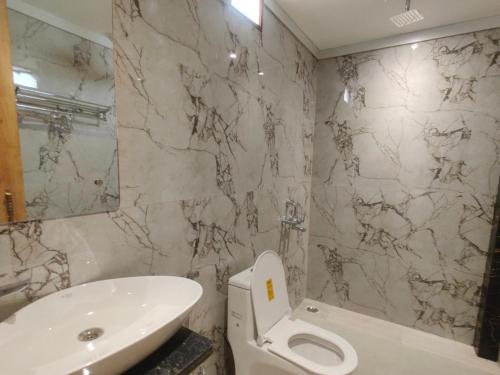 a bathroom with a white toilet and a sink at Hotel Ravi Palace Agra in Agra