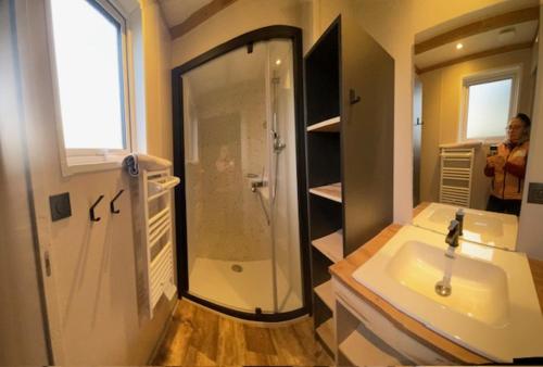 a bathroom with a shower and a sink at Les cottages du Tremble in Ruffec