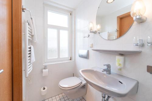 a bathroom with a sink and a toilet and a mirror at Hotel Waldhaus Waltershausen in Waltershausen