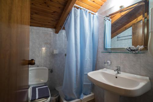a bathroom with a sink and a toilet and a mirror at Hotel Villa Apollonia Delphi in Delphi