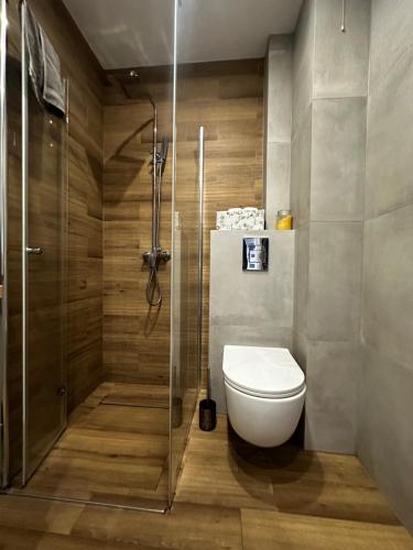 a bathroom with a toilet and a shower at Apartament z widokiem 3 in Chełm