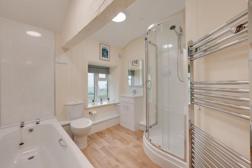 a bathroom with a shower and a toilet and a sink at 3 Bed in Machynlleth oc-bow306 in Darowen