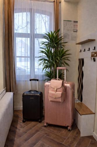 two suitcases sitting on the floor in front of a window at Apartman Aurelia in Sremska Mitrovica