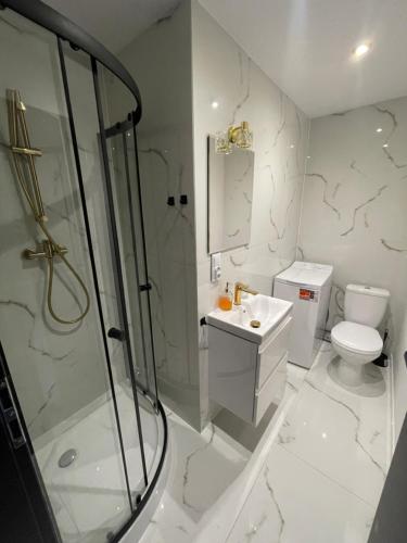 a bathroom with a shower and a toilet and a sink at CityView Tychy in Tychy