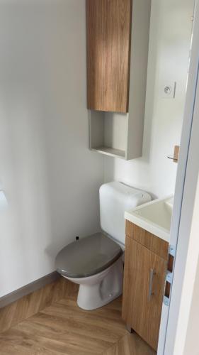 a bathroom with a toilet and a sink at Mobil home 148 in Pont-Aven