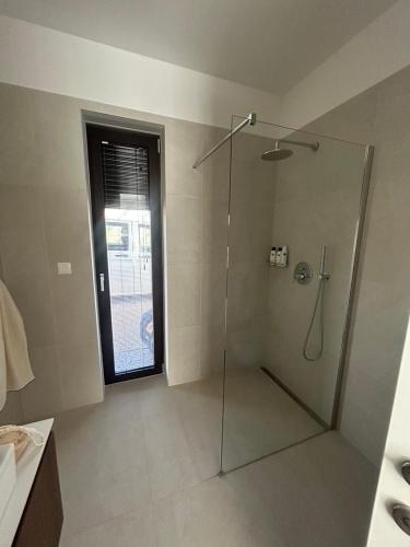 a bathroom with a shower with a glass door at Villa Oasis Poreč in Labinci
