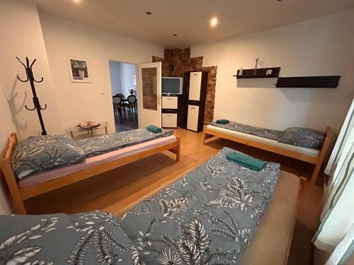 a living room with two beds and a couch at private house in Ústí nad Labem