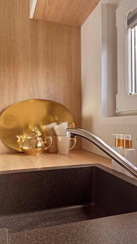 a kitchen sink with a gold bowl on a counter at Chalet de Hofstee 118 in Nunspeet
