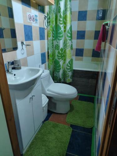 a bathroom with a toilet and a sink and a shower at Hospedaje Sandra in Llanquihue