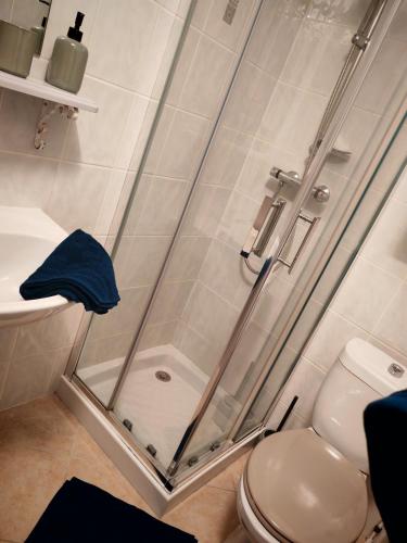 Eine Dusche mit Glastür neben einer Toilette in der Unterkunft L'arcisien in Arcis-sur-Aube