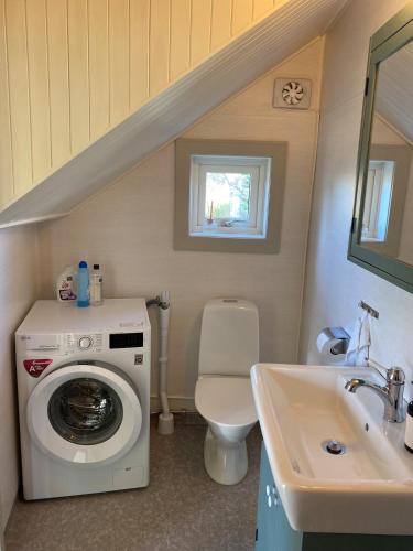 a small bathroom with a washing machine and a sink at Charmig stuga på bondgård in Norrfjärden