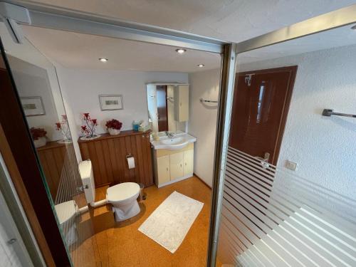 a bathroom with a toilet and a sink at Ferienwohnung Menz - Alte Mühle - mit Milseburgblick und Gartenpool in Hofbieber