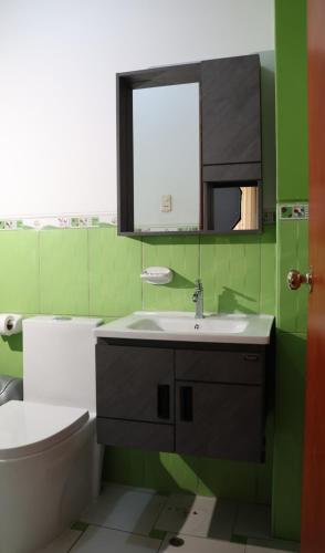 a green bathroom with a sink and a mirror at Gran Mansion Dorada in Tacna