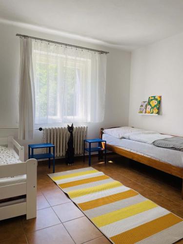 a bedroom with two beds and a cat sitting on a rug at Chalupa U Revíru in Chvalčov
