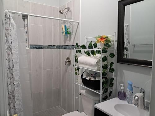 a bathroom with a shower and a toilet and a sink at Marie view Rentals in Abaco