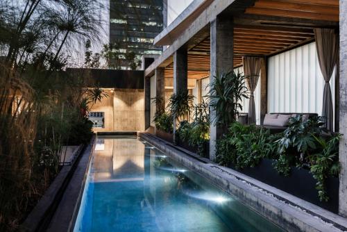 a swimming pool in the middle of a building with plants at Volga, Member of Preferred Hotels & Resorts in Mexico City