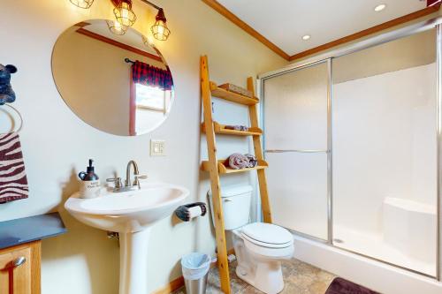 a bathroom with a shower and a toilet and a sink at Pet Friendly! Couples Retreat in Southern Illinois in Etherton