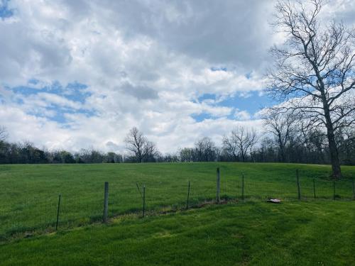 a fence in the middle of a field with a tree at Meadowview Guest House in Hillsboro
