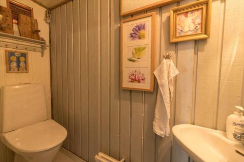 a bathroom with a toilet and a sink at BLE849-Ronneby-Rustorpsvaegen-1 in Ronneby