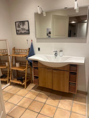a bathroom with a sink and a mirror at Stråtækt Idyl in Nørre Kollund