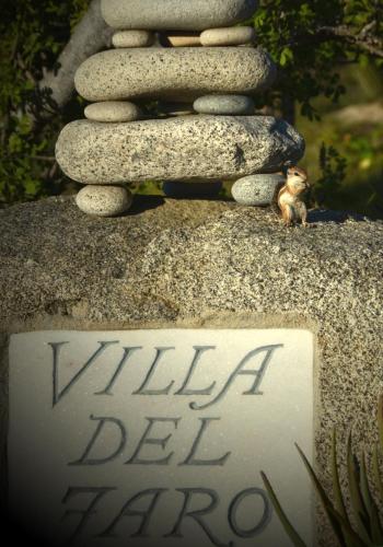 a small bird sitting on top of a rock tower at La Valise Los Cabos in Boca de la Vinorama