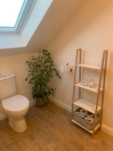 a bathroom with a toilet and a plant at Room with a View in Aldergrove