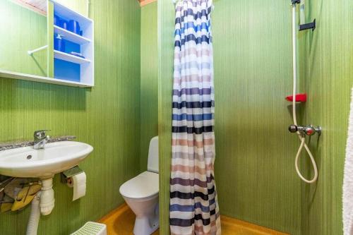 a green bathroom with a sink and a toilet at BLE876-Holmsjoe-Husgoel-216 in Holmsjö