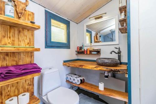 a bathroom with a toilet and a sink at BLE853-Holmsjoe-Aelmtamala-338 in Holmsjö