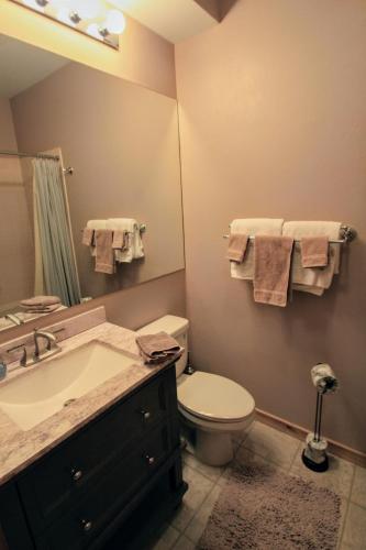 a bathroom with a sink and a toilet and a mirror at Mountain Adventure Basecamp + Hot Tubs in Winter Park