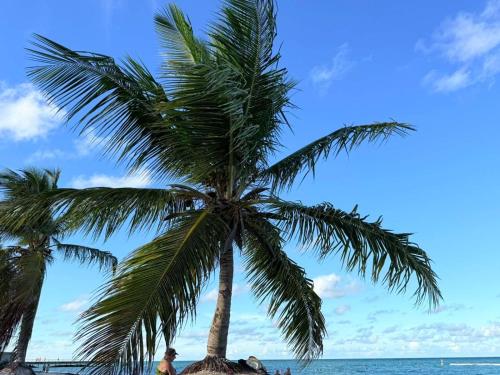 Alexger Beachfront Apartament Bavaro, Punta Cana