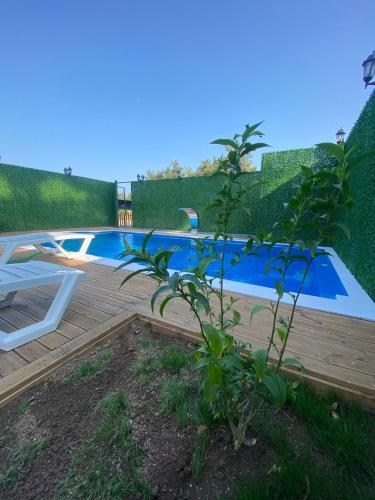 a pool with a table and a plant next to it at Evergreen Lodge-3 in Çakırlar