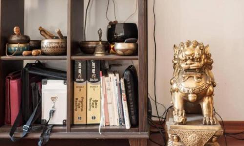 ein Bücherregal mit einem goldenen Löwen auf einem Ständer in der Unterkunft locchi in Florenz