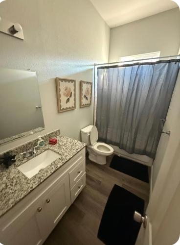 a bathroom with a sink and a toilet and a shower at Beautiful modern 3 bed 2 bath in Fort Worth