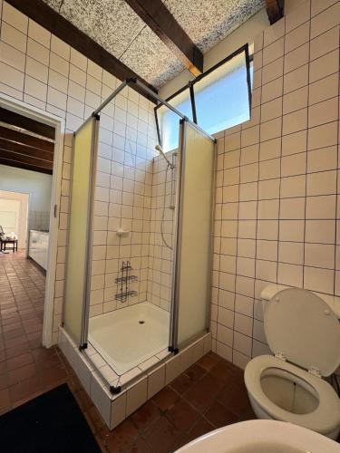 une salle de bains avec douche et toilettes dans l'établissement Perfect, à Windhoek