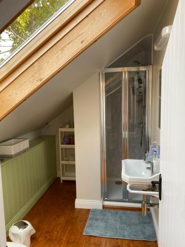 a bathroom with a shower and a sink in a attic at The Cottage Bailieborough Cavan in Bailieborough