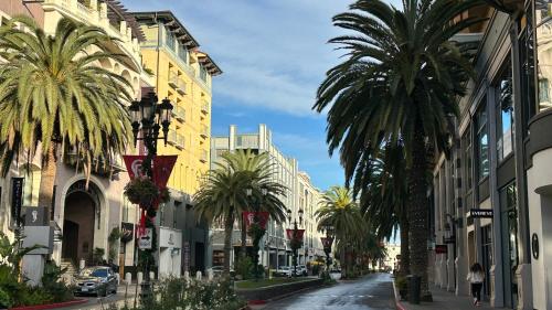 a city street with palm trees and buildings at Santana Row Garden Retreat Private Executive Residence with Koi Pond and Waterfall Walk to Santana Row Valley Fair Dining and Shopping Private Entrance in San Jose
