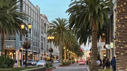 a city street with palm trees and buildings with christmas lights at Santana Row Garden Retreat Private Executive Residence with Koi Pond and Waterfall Walk to Santana Row Valley Fair Dining and Shopping Private Entrance in San Jose