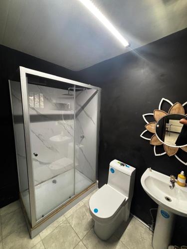 a bathroom with a shower and a toilet and a sink at Villa Sonia in Caldera