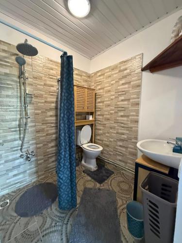 a bathroom with a shower and a toilet and a sink at Ave Surfing House in Mahina