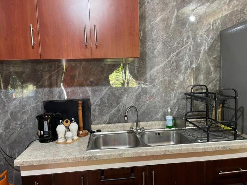a kitchen sink with two stuffed animals sitting next to it at Cabañas Maite Panguipulli Calafquen 2 in Huellahue
