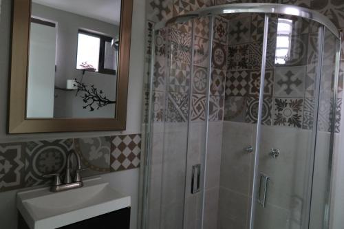 a bathroom with a shower and a sink and a mirror at Casa Saratoga in Mexico City