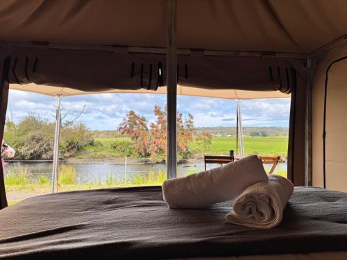 a bed in a tent with a view of a river at Apollo Bay Recreation Reserve in Apollo Bay