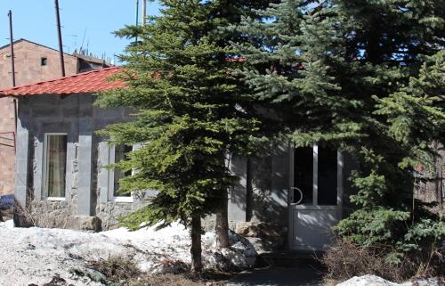 a house with a door in front of a tree at Shushanik Home in Jermuk